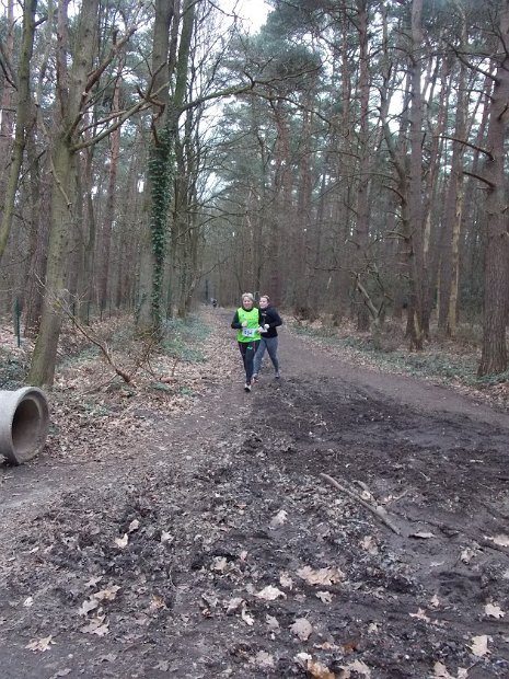 Bosloop Brecht - 35